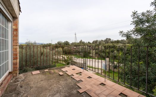 Un projecte inacabat (334)