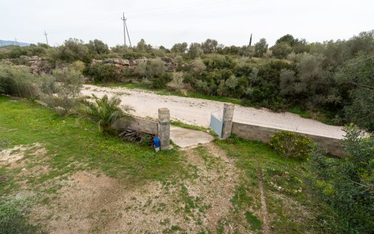 Un projecte inacabat (334)
