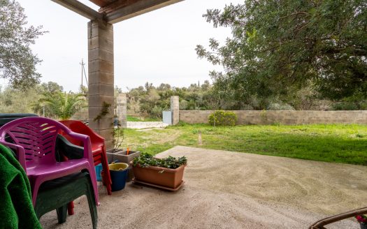 Un projecte inacabat (334)