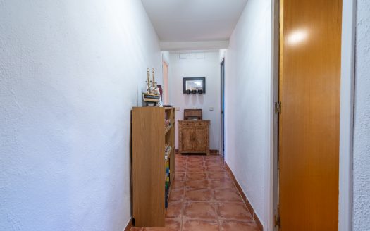 For those seeking piece (336)