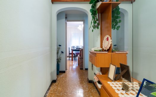 Large centrally located house with storage space (337)