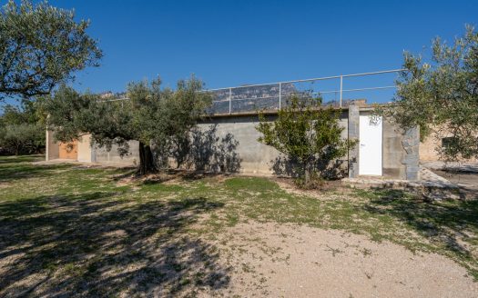 La finca alegre (339)