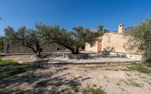 La finca alegre (339)
