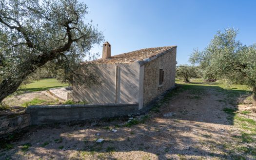 La finca alegre (339)