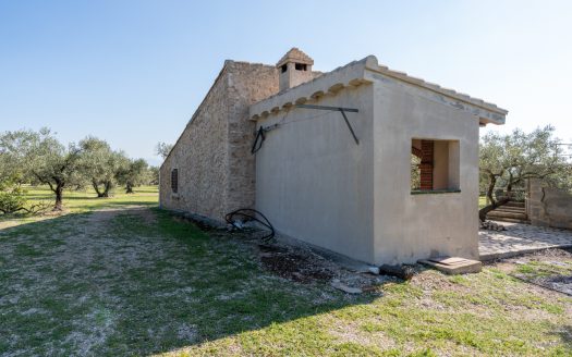 La finca alegre (339)