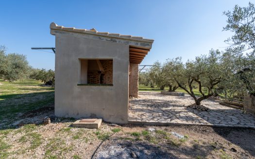 La finca alegre (339)