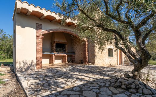 La finca alegre (339)