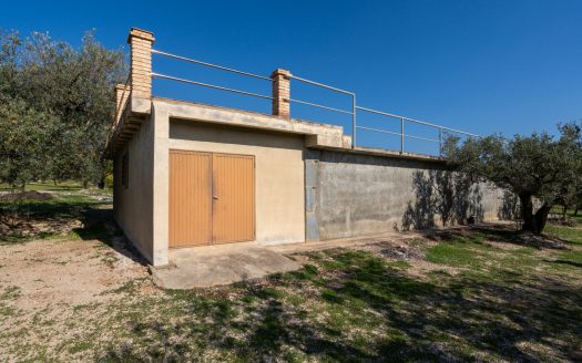 La finca alegre (339)