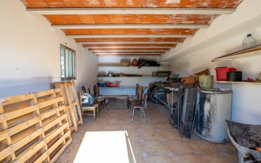 La finca alegre (339)