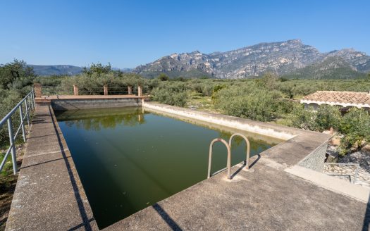 La finca alegre (339)