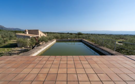 La finca alegre (339)