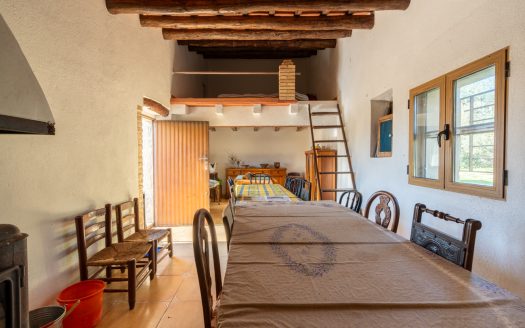 La finca alegre (339)