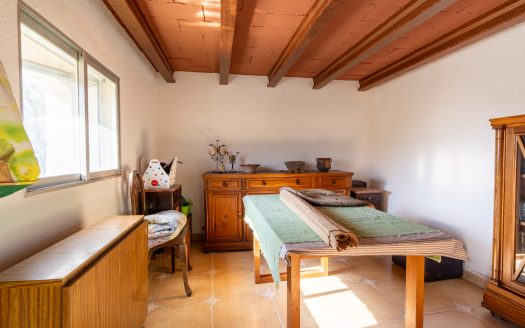 La finca alegre (339)