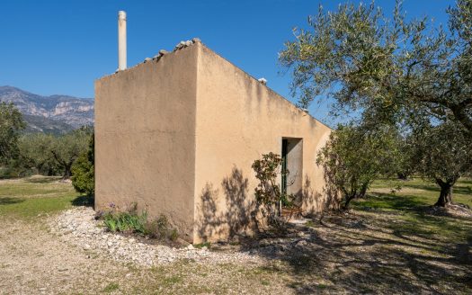 Flat olive grove property with beautiful views (340)
