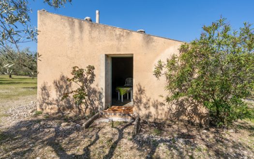 Flat olive grove property with beautiful views (340)