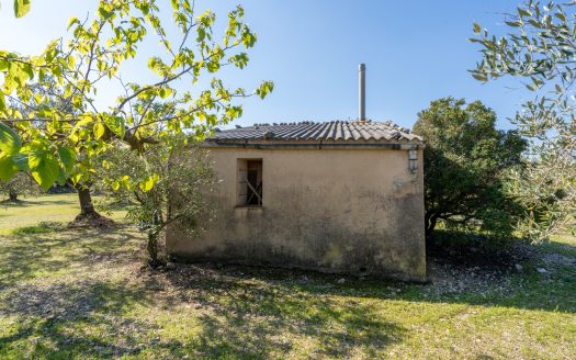 Flat olive grove property with beautiful views (340)