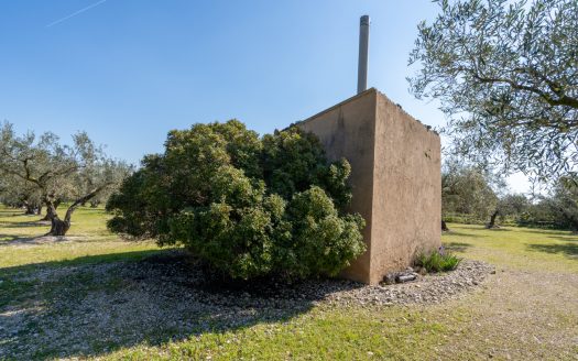 Flat olive grove property with beautiful views (340)