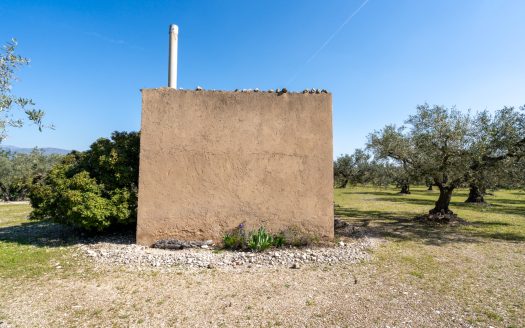 Flat olive grove property with beautiful views (340)
