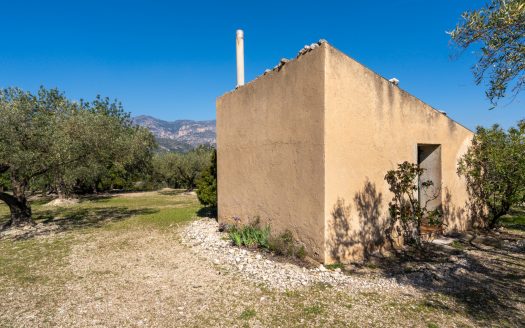 Flat olive grove property with beautiful views (340)
