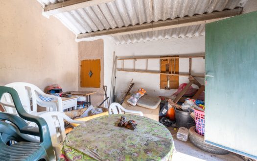 Flat olive grove property with beautiful views (340)