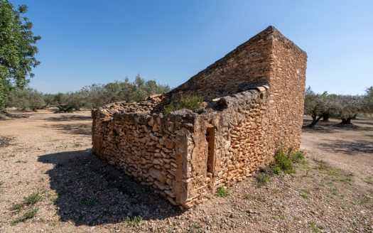 Nice piece of land with a ruin (341)