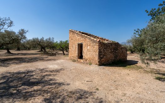 Nice piece of land with a ruin (341)