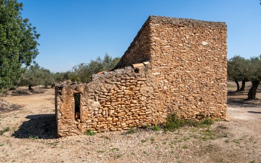 Bonita finca con una ruina (341)