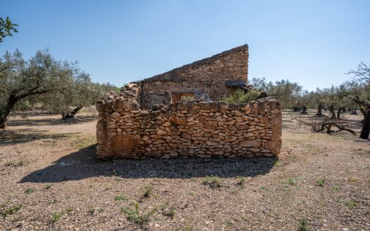 Nice piece of land with a ruin (341)