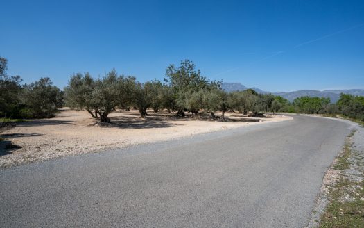 El millor accés (342)