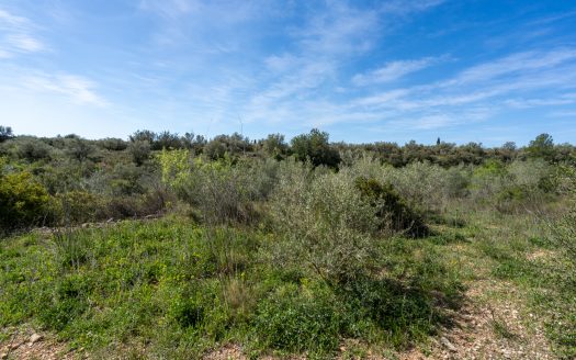 Secluded plot surrounded by nature (344)