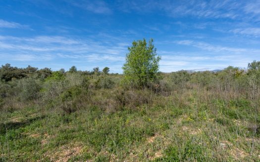 Secluded plot surrounded by nature (344)