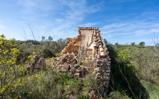 Secluded plot surrounded by nature (344)