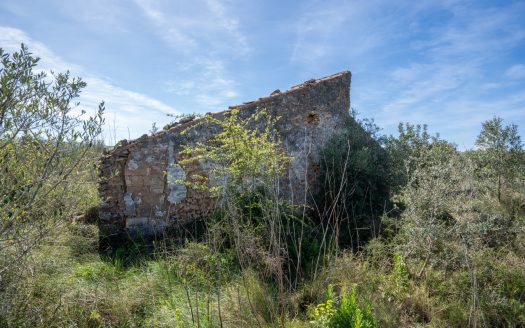 Secluded plot surrounded by nature (344)
