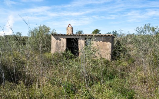 Secluded plot surrounded by nature (344)