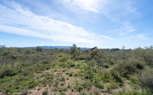 Secluded plot surrounded by nature (344)
