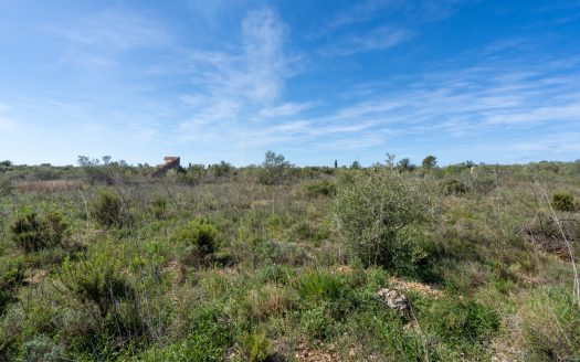 Secluded plot surrounded by nature (344)