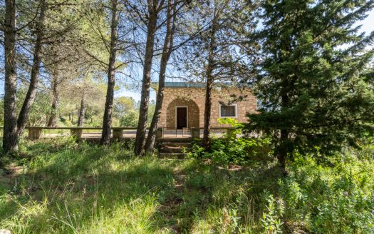 Your house in the forest (349)