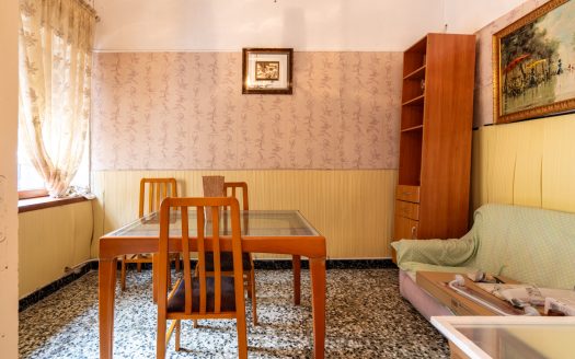 House for renovation with great potential (350)
