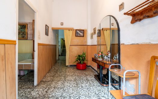 House for renovation with great potential (350)