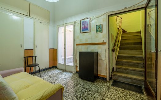 House for renovation with great potential (350)