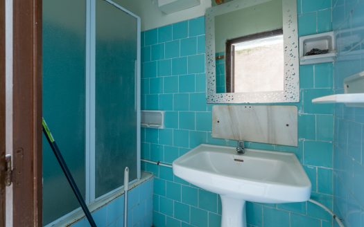 House for renovation with great potential (350)