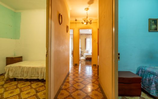 House for renovation with great potential (350)
