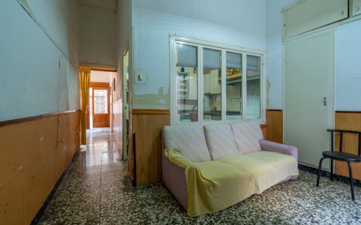House for renovation with great potential (350)