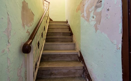 House for renovation with great potential (350)