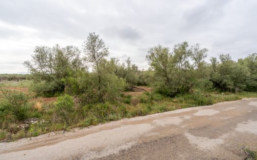 Petita finca sense edificació i bon accés (352)