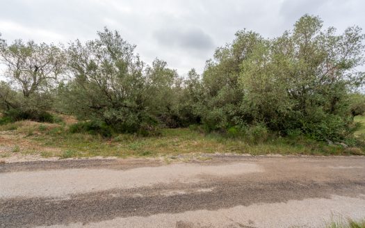 Petita finca sense edificació i bon accés (352)