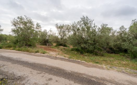 Petita finca sense edificació i bon accés (352)