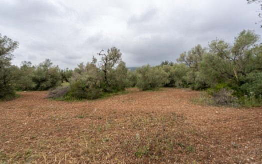 Petita finca sense edificació i bon accés (352)