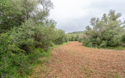 Petita finca sense edificació i bon accés (352)
