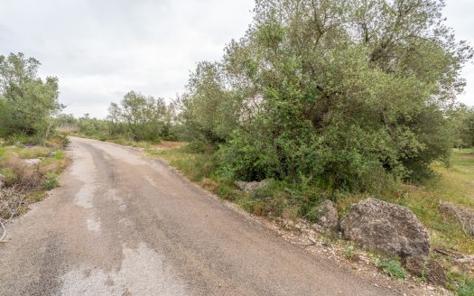 Petita finca sense edificació i bon accés (352)